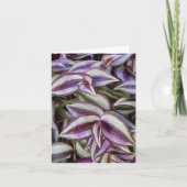 Wandering Jew Foto gevouwen Note Kaart (Voorkant)