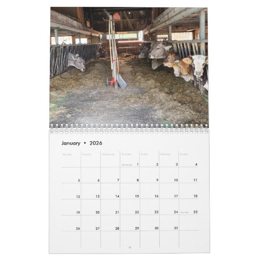 Wanderland Schweiz 2025 Kalender (Jan 2026)