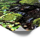 Wanderlust Beauty / / vreedzame wateren Poster (Hoek)