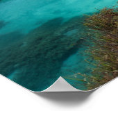 Wanderlust in Zelenci, Slovenië Poster (Hoek)