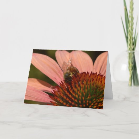 Wandkaart met honingbij op Echinacea Kaart (Voorkant)