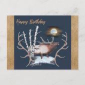 Wandkaart met stier-eland briefkaart (Voorkant)