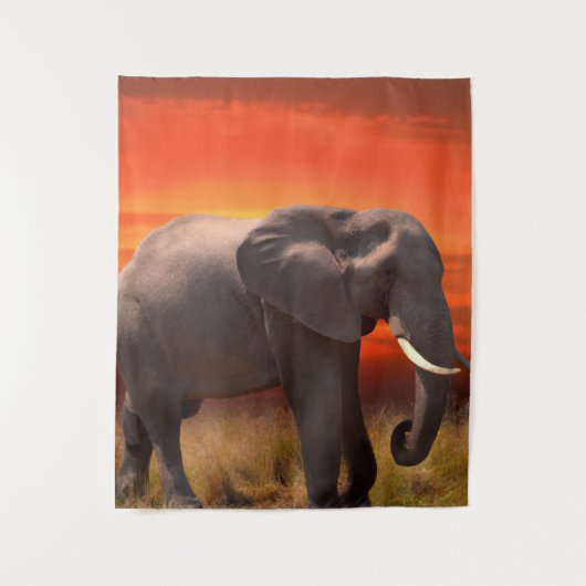 Wandkleed met Afrikaanse olifant en zonsondergang (Voorkant)