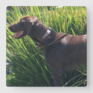 Wandklok met Duitse Shorthair Pointer