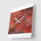 Wandklok Outback Australisch landschap, grijze arm (Hoek)