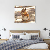Wangzandgrondeekhoorn Canvas Afdruk (Insitu (Slaapkamer))