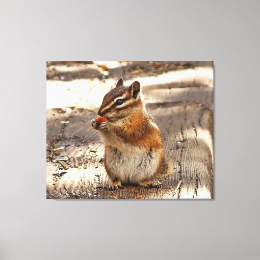 Wangzandgrondeekhoorn Canvas Afdruk (Voorkant)
