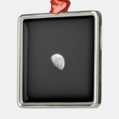 Waning Moon 2 Metalen Ornament (Links)