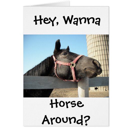 Wanna Horse Around (Voorkant)