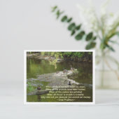 Wanneer alle briefkaart (Staand voorkant)