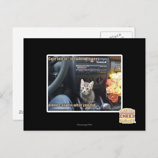 Wanneer bloemen niet genoeg zijn briefkaart (Voorkant / Achterkant)