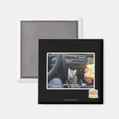 Wanneer bloemen niet genoeg zijn magneet (Voorkant / Achterkant)