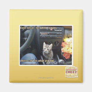 Wanneer bloemen niet genoeg zijn magneet