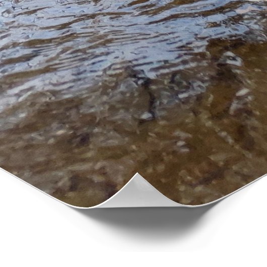 Wanneer de bladeren spelen een melodie poster (Hoek)