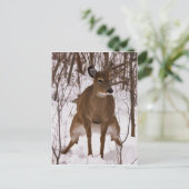 Wanneer de Natuur roept Briefkaart (Staand voorkant)