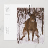 Wanneer de Natuur roept Briefkaart (Voorkant / Achterkant)