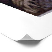 Wanneer de Vetdame Poster zingt (Hoek)