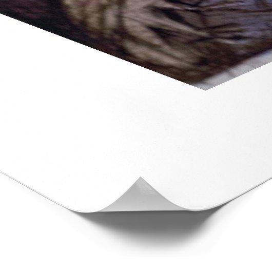 Wanneer de Vetdame Poster zingt (Hoek)