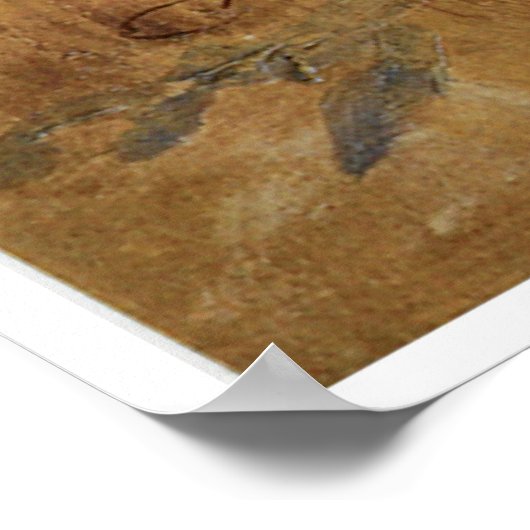 Wanneer de Wet de Rand van Chance, 1915 beëindigt Poster (Hoek)