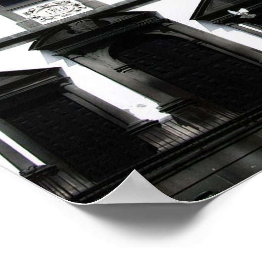 wanneer duiven afdrukken en Poster vliegen (Hoek)