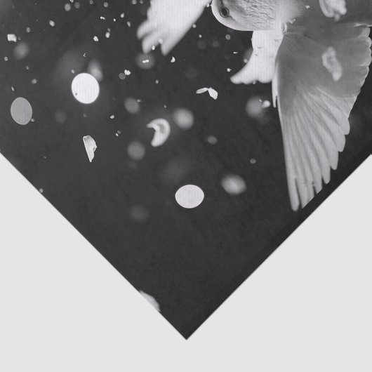 Wanneer duiven vliegen9 tissuepapier (Detail)