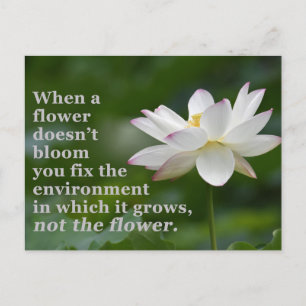 Wanneer een Bloem niet bloeit Briefkaart