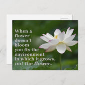 Wanneer een Bloem niet bloeit Briefkaart (Voorkant / Achterkant)