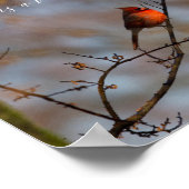 Wanneer een kardinaal verschijnt, foto poster (Hoek)