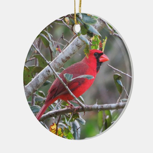 Wanneer een kardinaal verschijnt, is een geliefde keramisch ornament (Links)