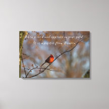 Wanneer een kardinaal verschijnt op uw foto van de