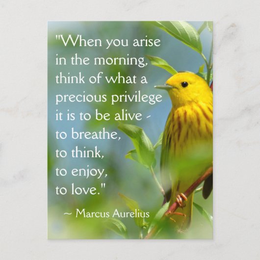 Wanneer Gij Ontwaakt Marcus Aurelius Inspirerende Briefkaart (Voorkant)