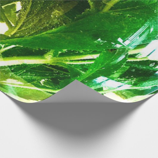 Wanneer het leven je citroenen geeft cadeaupapier (Hoek)