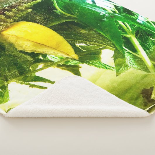 Wanneer het leven je citroenen sokken geeft sherpa deken (3/4)