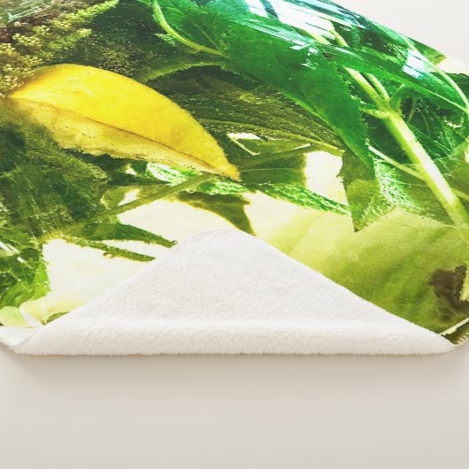 Wanneer het leven je citroenen sokken geeft sherpa deken (3/4)