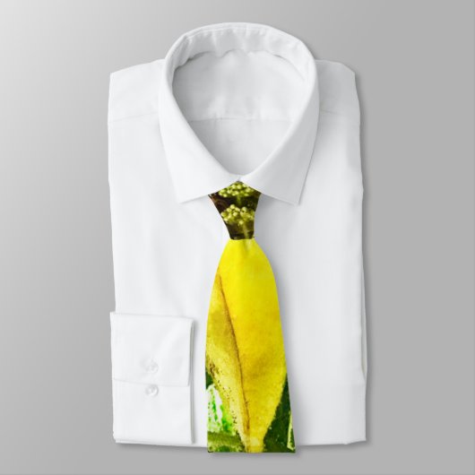 Wanneer het leven je citroenen sokken geeft stropdas (Gebonden)