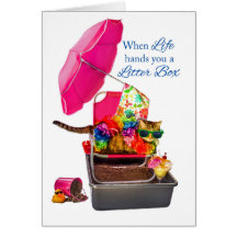 Wanneer het leven je nest box