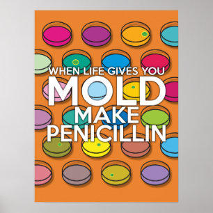 WANNEER HET LEVEN U GEEFT MOET U PENICILLIN MAKEN POSTER
