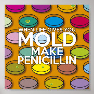 WANNEER HET LEVEN U GEEFT MOET U PENICILLIN MAKEN POSTER