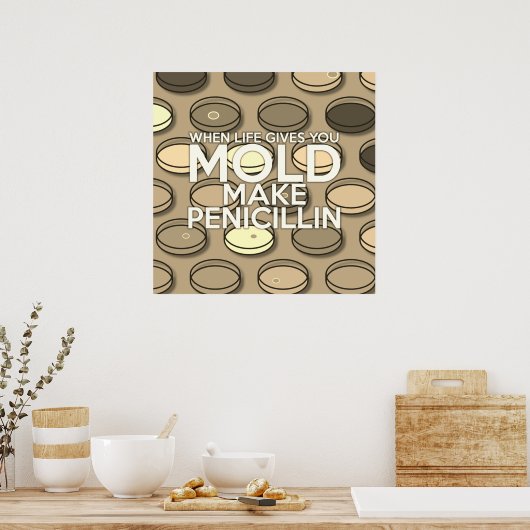 WANNEER HET LEVEN U GEEFT MOET U PENICILLIN  MAKEN POSTER (Keuken)