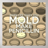 WANNEER HET LEVEN U GEEFT MOET U PENICILLIN  MAKEN POSTER (Voorkant)