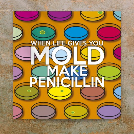 WANNEER HET LEVEN U GEEFT MOET U PENICILLIN WETENS POSTER