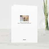 WANNEER HET ZINKEN OF ZWEMMEN / OLIFANT ZWEMMEN OV KAART (Achterkant)