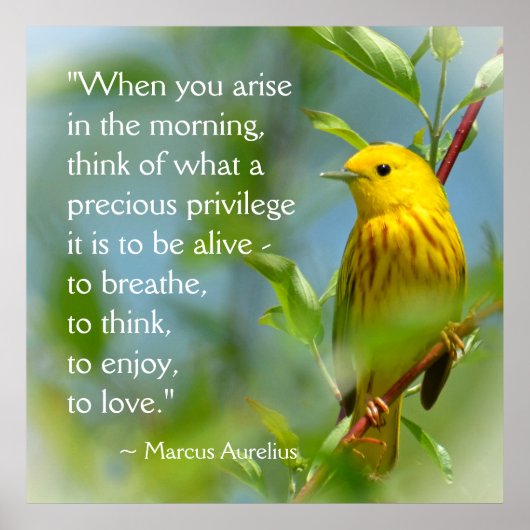 Wanneer je Marcus Aurelius inspiratie citaat aanha Poster (Voorkant)