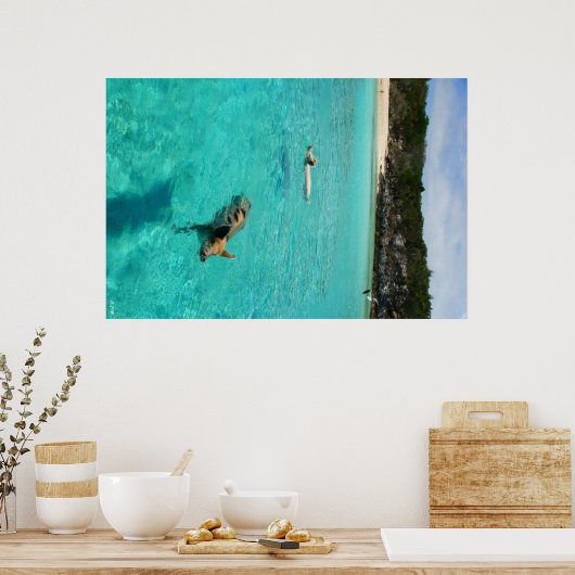 Wanneer varkens draaien poster (Keuken)