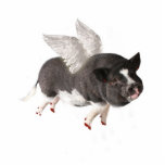 Wanneer varkens vliegen fotobeeldje sleutelhanger<br><div class="desc">Vliegende varkens</div>