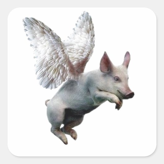Wanneer varkens vliegen vierkante sticker (Voorkant)