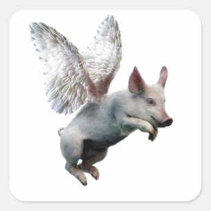 Wanneer varkens vliegen vierkante sticker