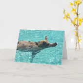 Wanneer varkens Wenskaart zwemmen Kaart (Gele Bloem)