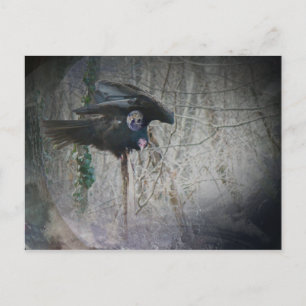 Wanneer Vulture zijn woningen sluit Briefkaart