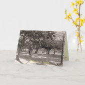 Wanneer we samen zijn, hou ik van jou Wenskaart Kaart (Gele Bloem)